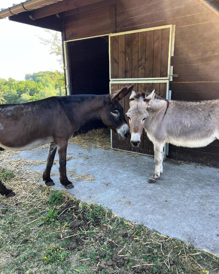 Genappe La Ferme Saint Pierre De Glabais 빌라 외부 사진
